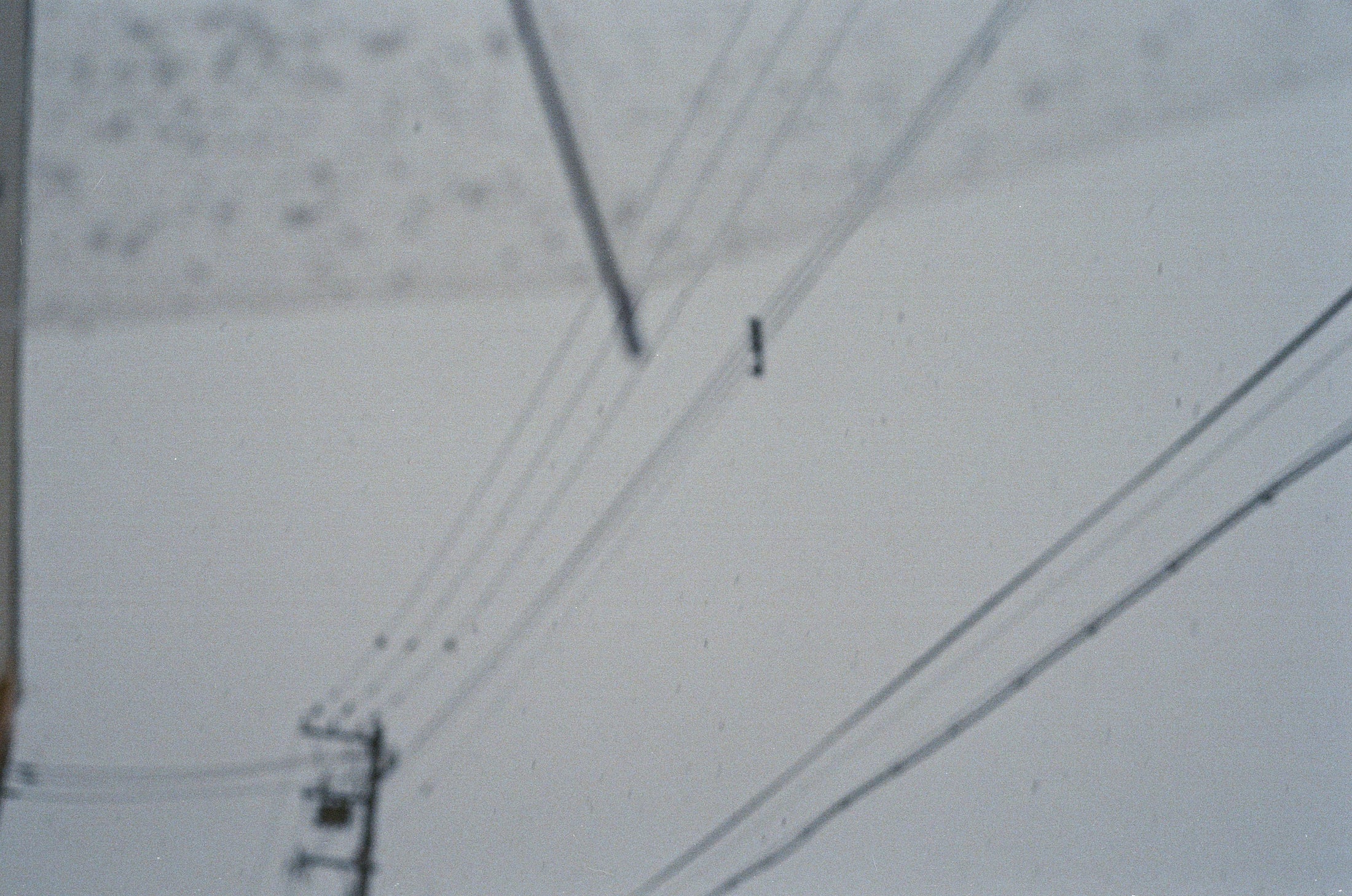 On foot, photograph 00